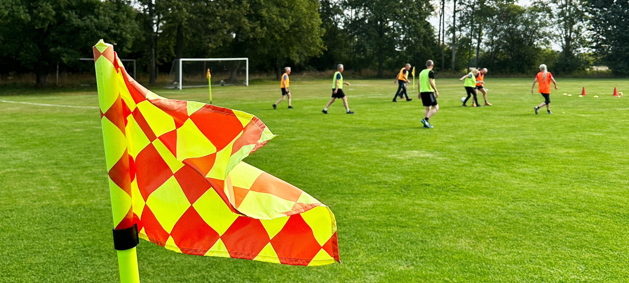 Footballflag in front of footballplayers.