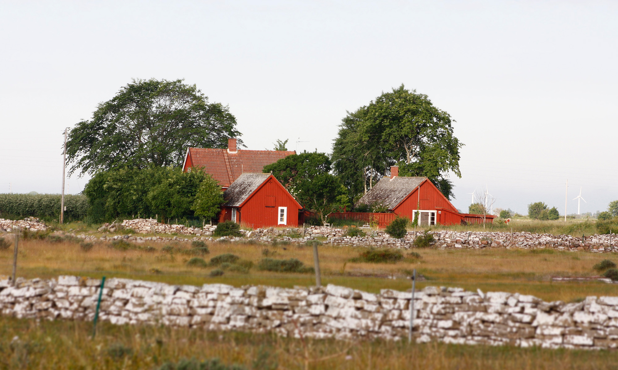 Red houses in the landscape of Öland.