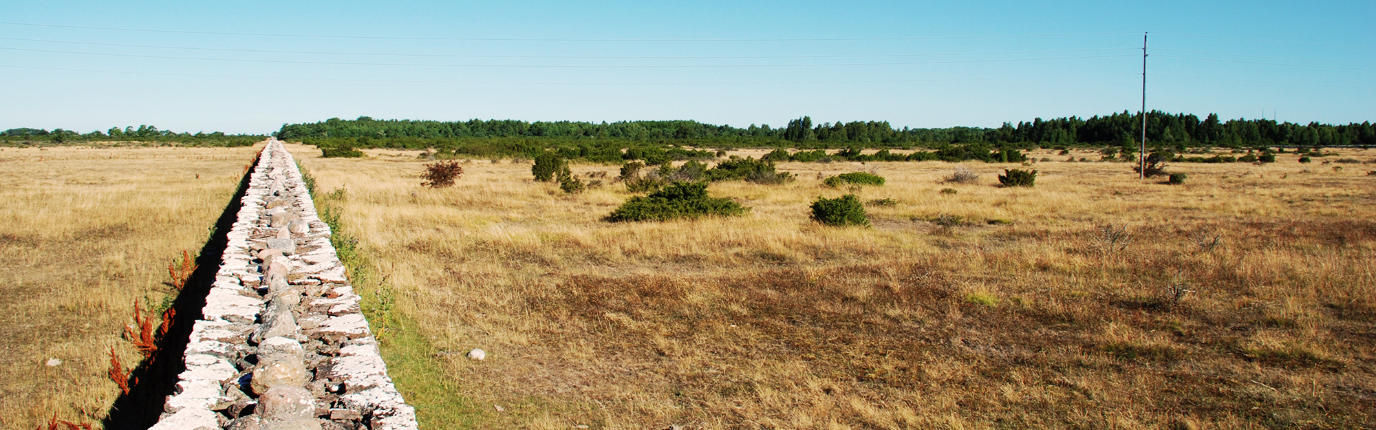 Stone wall in landscape. 